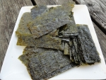 seaweed-is-not-just-for-sushi-by-carina-sohaili