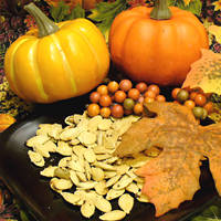 the-perfect-pumpkin-patch-munch-pumpkin-seeds-by-carina-sohaili-2